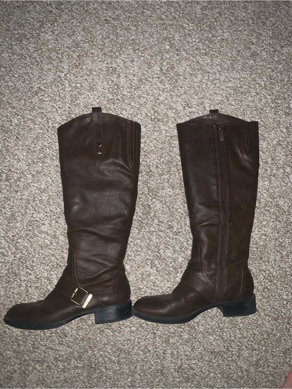 Circus by Sam Edelman Dark Brown Tall Riding Boots with Buckle